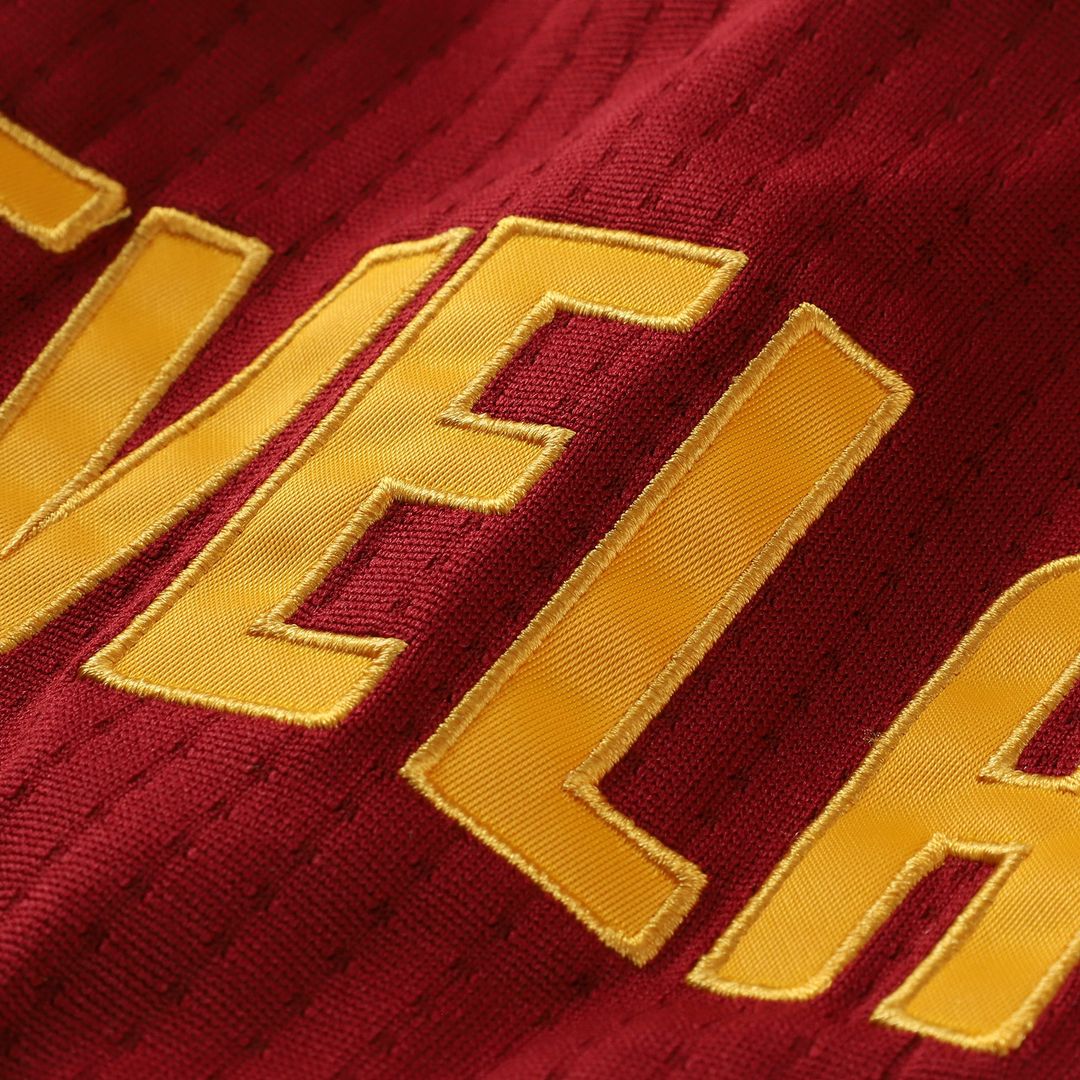 LeBron James | Cleveland Cavaliers | Hardwood Classics 2015/16 Jersey - Wine