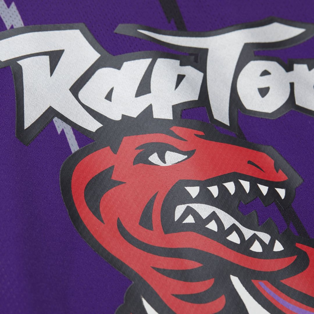 Vince Carter | Toronto Raptors | Unisex Maxxed Out Fashion Hockey Jersey - Purple