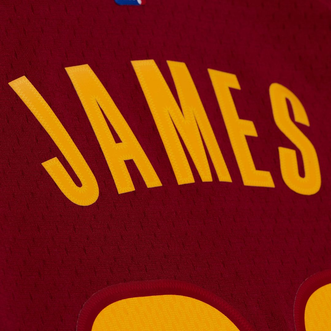 LeBron James | Cleveland Cavaliers | 2015 - 16 Swingman Jersey - Wine
