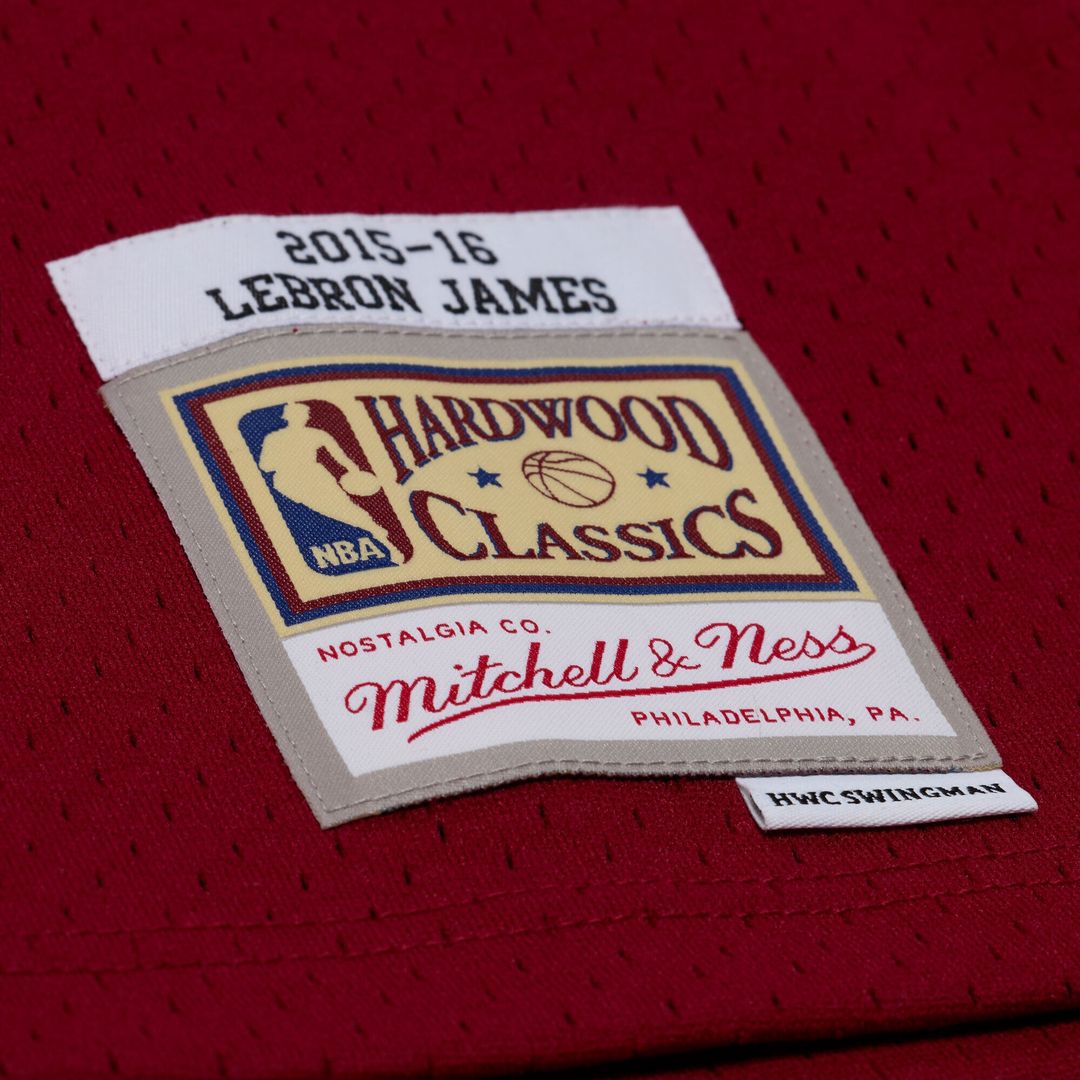 LeBron James | Cleveland Cavaliers | 2015 - 16 Swingman Jersey - Wine