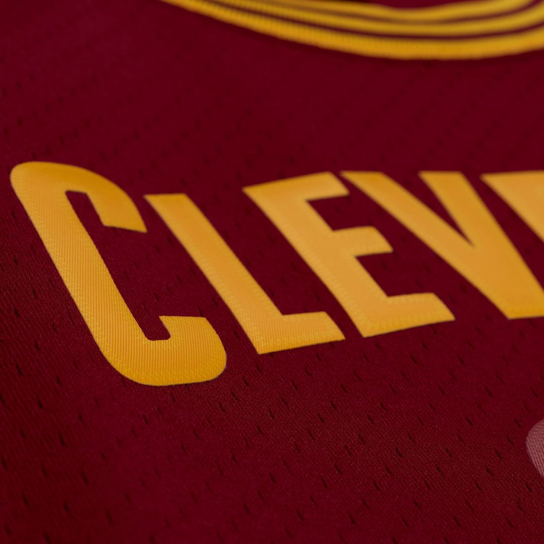 LeBron James | Cleveland Cavaliers | 2015 - 16 Swingman Jersey - Wine