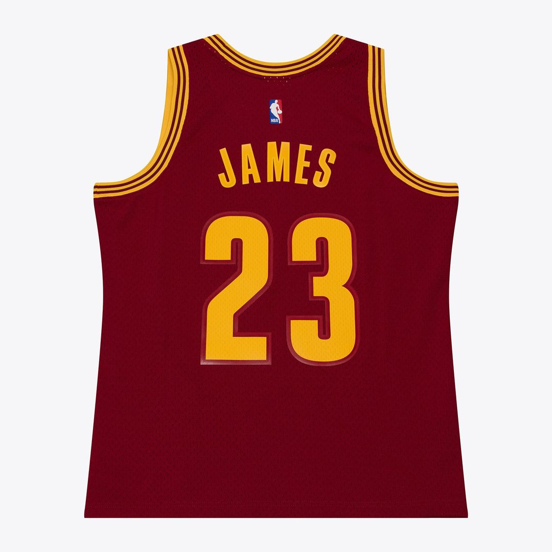 LeBron James | Cleveland Cavaliers | 2015 - 16 Swingman Jersey - Wine